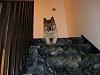 DSCN2645.jpg