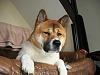 DSCN2652.JPG